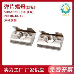 欧標国標弾片ナットバックカードナットブロック20-30-40-45シリーズ工業アルミ形材部品
