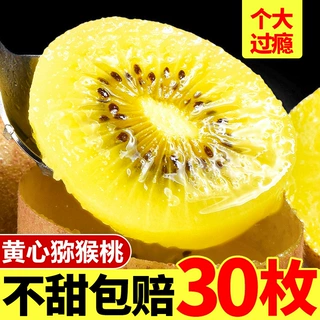 现摘四川黄心猕猴桃30枚大果新鲜现摘孕妇水果浦江奇异果整箱包邮
