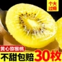 四川浦江大果新鲜奇异果