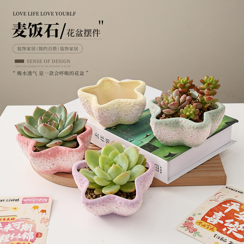 New Creative Starfish-Shaped Maifan Stone Coarse Pottery Succulent Flower Pot for Home Use, High Aesthetic Value, Exquisite and Breathable Ceramic Flower Pot New Creative Starfish-Shaped Maifan Stone Coarse Pottery Succulent Flower Pot for Home Use, High Aesthetic Value, Exquisite and Breathable Ceramic Flower Pot