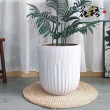 �մɴ��躆�s�ٴ������ش�ڏ���������Ѫ��Gֲͨ�ð��]����