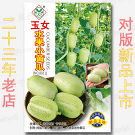 玉女黄瓜种子 玉女水果小黄瓜种子 袖珍水果型 迷你黄瓜 光滑无刺