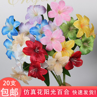 ��c���滨�ߙnꖹ�ٺ� �����ٻ������m�[����Y���b�ˇ����