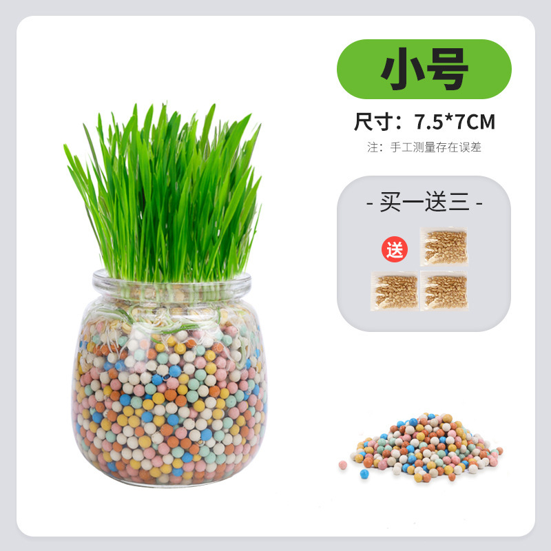 Nueva bola de pelo de hierba de gato de iones negativos Aperitivos para gatos Planta en maceta hidropónica sin suelo Semillas de trigo Mascotas Comida mixta húmeda al por mayor