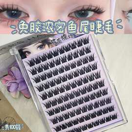 粘胶款浓密鱼尾分段自然百搭日常亚裔混血绒感氛围眼睫毛灵动双眼
