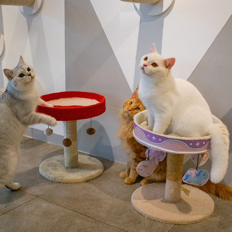 Leyoupai, marco de escalada para gatos de invierno, nido para gatos, árbol para gatos, tabla para rascar gatos, estante para gatos, poste para rascar gatos, marco de escalada para mascotas pequeñas, nido