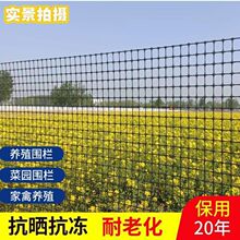 塑料网围栏网加厚特厚养殖网圈地圈果园养鸡围栏网圈玉米加厚款
