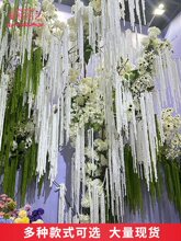 ë�����ײ��õ���bٻ���ˇ�������l���Ļ�Yܛ�b����