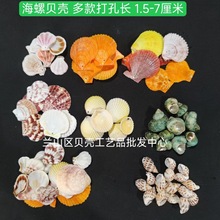 贝壳打孔 海螺打孔 米螺打孔 工艺品制作配件幼儿园手工配件