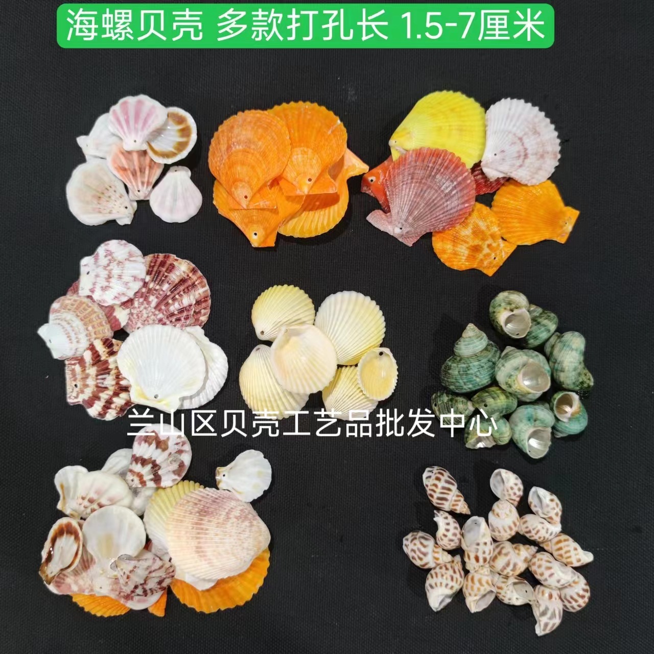 贝壳打孔 海螺打孔 米螺打孔 工艺品制作配件幼儿园手工配件