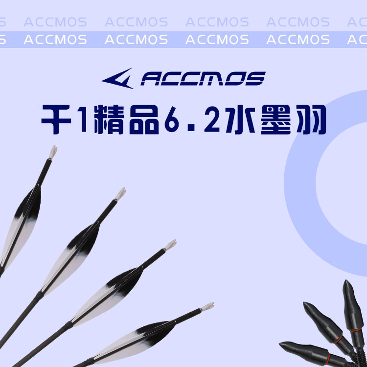 渐变真羽精品千一直度射准竞反复合碳素传统射击比赛弓箭纯碳箭支