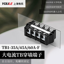 TB接线端子TB-25A/35A/45A/60A穿墙端子接线柱接线排端子排