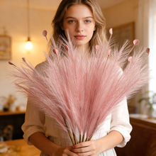 ��ȸ�ݷ��滨�JȔ�������@���쾰�Ҿ��b廨��c��ƿ�������JȔ