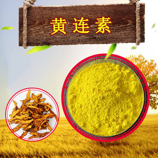 Berberine 97% First Single Decrease Coptis/Cortex Phellodendri Extract 100 g/Bag Quality Control Berberine Hydrochloride