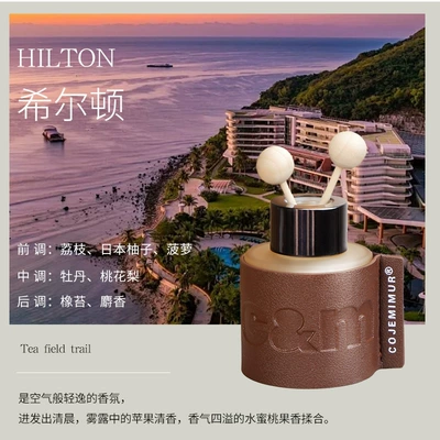Long-Lasting Light Fragrance, High-End – Perfplant seat - hilton-high-end-hotel-fragrance