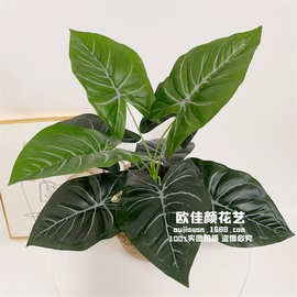 9头马蹄莲叶仿真植物插花植物墙装饰绿植盆景植物把束婚庆花