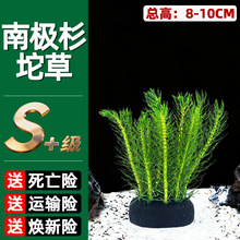 �ϘO������~��ˮ��ֲ����Ե�ˮ���֑���ˮ���쾰ˮ��Gֲ��ˮ��