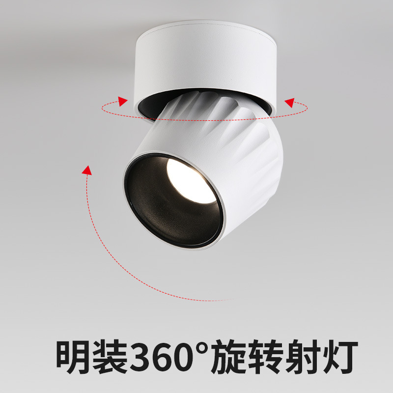 Gran vista jardín luz de techo luminaria luminaria luminaria luminaria LED antirresplandeciente 495L