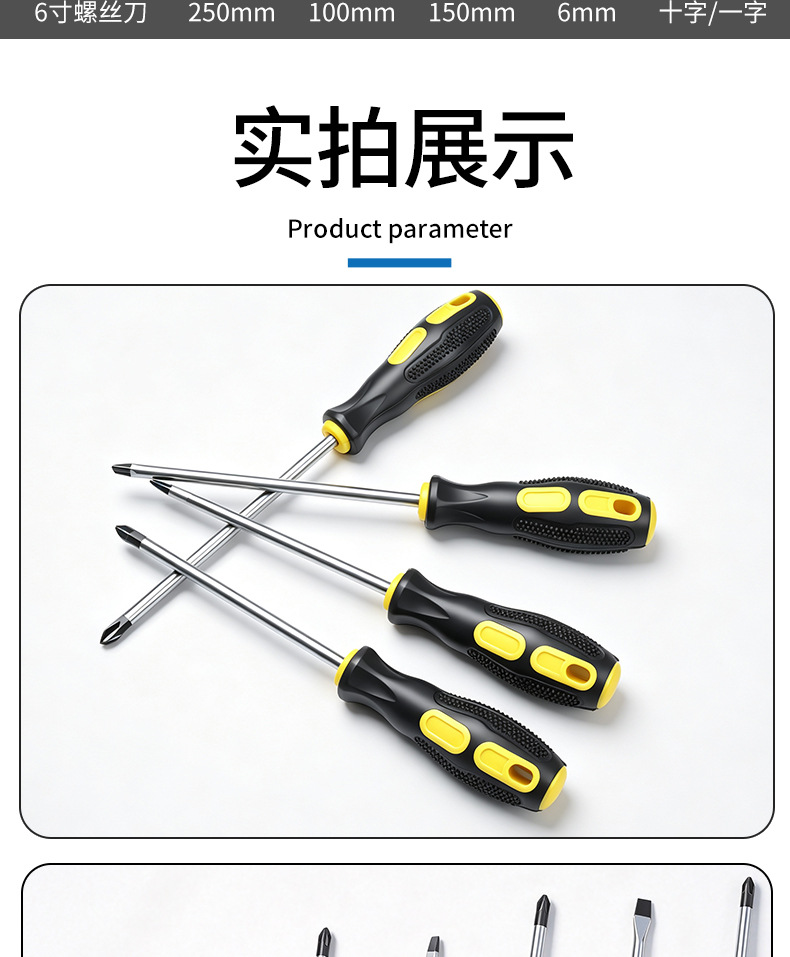 Screwdriver set, magnetic, slotted and Phillips bits