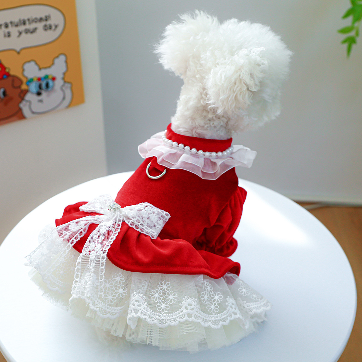 Pet circle direct supply dog clothes cat attire bow lace ribbon velvet ballgown dress