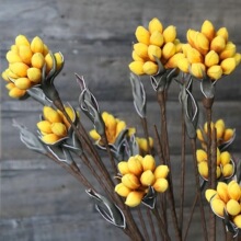 EVA�ָз��滨2�^�P�滨ܛ�b�ҾӔ[�O�Wʽ���滨��ĭ����c����