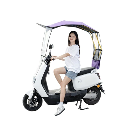 Fully Enclosed New Electric Vehicle | Elektromobil üçün ön şüşə çətiri (günlük)