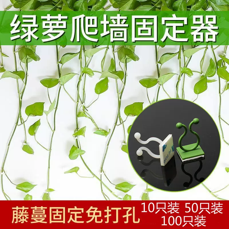 批发绿萝爬墙固定器攀爬挂钩扣环绿植PA66卡扣线夹线扣无痕固定
