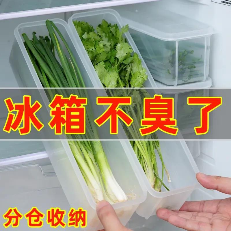 冷蔵庫用コリアンダーとネギの保存箱、コリアンダー丸ごと保存、麺と卵の保存、密封|undefined