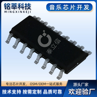 Voice Chip Ic Flash Music Car Model Toys Doll Figures Sound Toy Solution Development