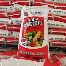 现货批发硝酸铵钙农用瓜果蔬菜全水溶复合肥氮肥追肥硝酸铵钙