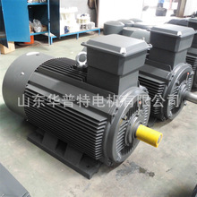 双速电机YDT-315L-4/6 400V 110/75kW三相异步1488/990转,交流