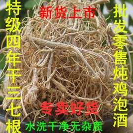 正宗文山四五年水洗晒干三七根须泡酒炖鸡毛根荆条新鲜三七根包邮