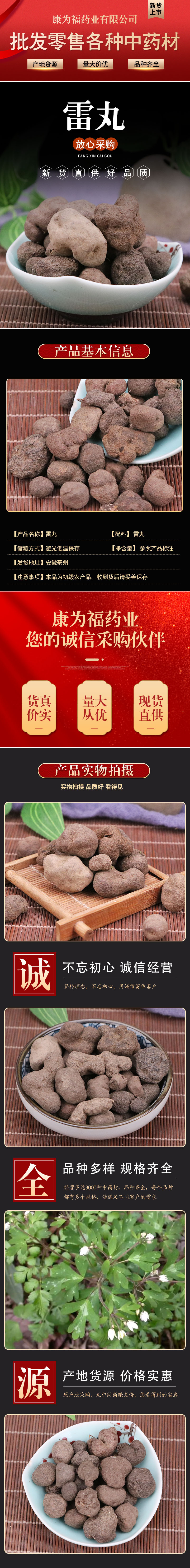 Lei Wan Slices (Omphalia lapidescens) — Dried TCM Herb, Also Called Zhu Ling Zhi overview