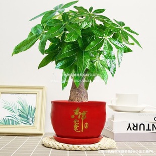 ��lؔ�����ԾGֲ�����҃ȿ͏d���B���ļ����������՚��Ϙ��ͺ�