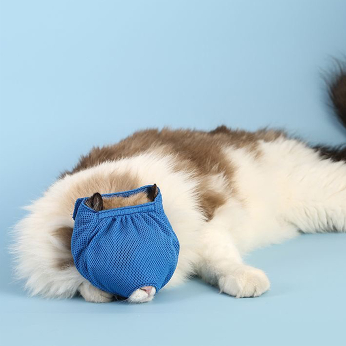 Máscara de gato Máscara de gato anti-mordedura y anti-estrés Máscara de gato de tela transpirable Máscara de gato multifunción anti-mascota Máscara de boca de gato al por mayor