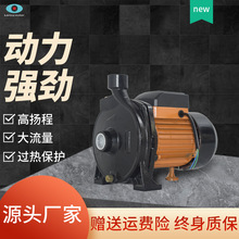 CPM130�羳ר��220v������ѭ���õ�ů����ˮ���������������