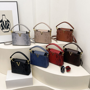 Lady's handbag���Q�羳Ů��2026�¿�W���͹��߼y�μ�б��ˮͰ��