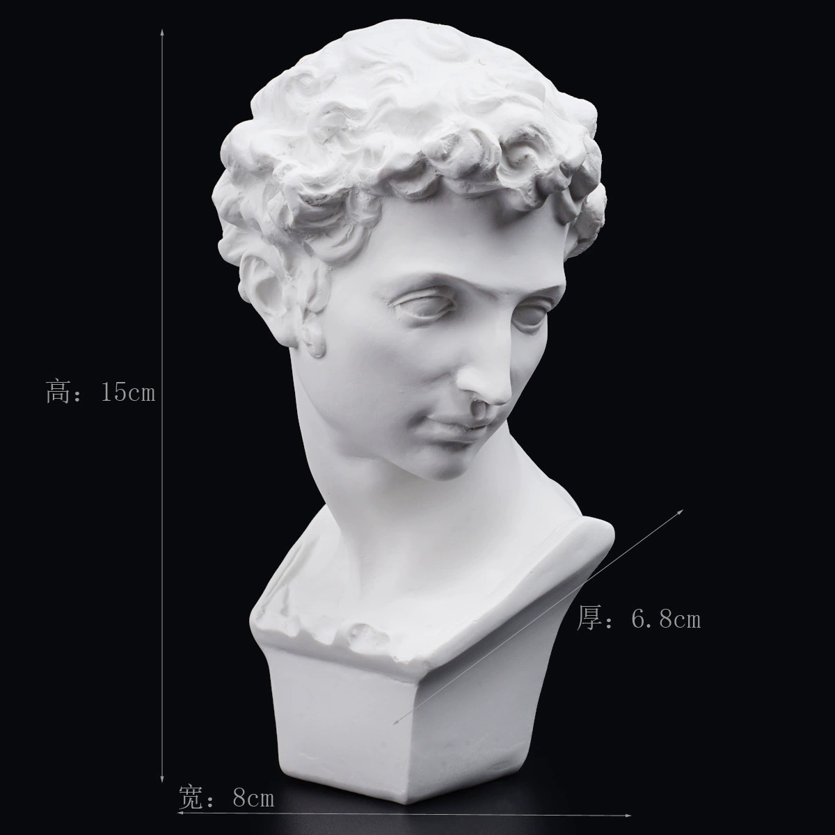 Gypsum avatar art sketch teaching aid sketching practice home decoration art carving window decoration
