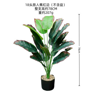 18�^���˽������B���W12�^��Ž��~����Gֲ�@���b��쾰�٘�羳