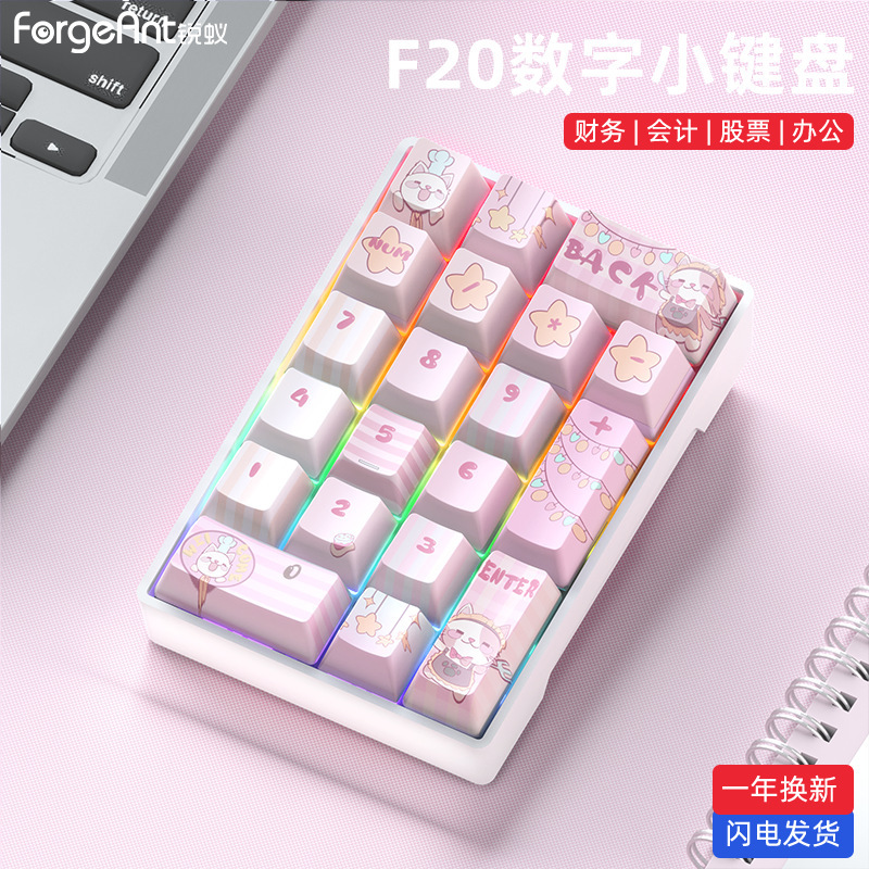 Ruiyi F20 デジタルメカニカルキーパッド有線 20 キーラップトップ外部ミニポータブル財務オフィス|undefined