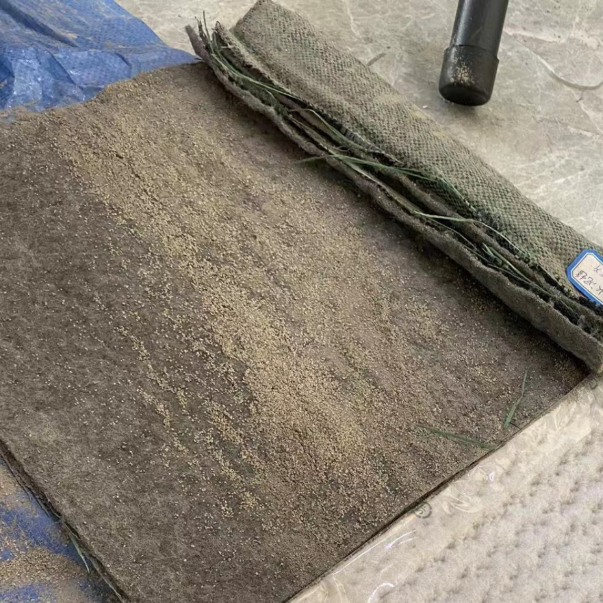 2024-02-25 09:04:00.jpg