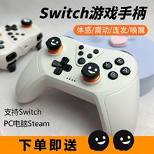 游戏手柄NsPro无线蓝牙体感震动有线PC电脑steam双影奇境【厂家】
