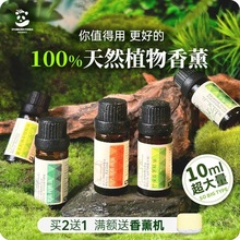 天然精油香薰纯植物进口室内香氛加湿器香薰机依兰茶树迷迭香