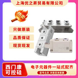 SKKT253/12E  SKKT253/14E  西门康可控硅模块正品