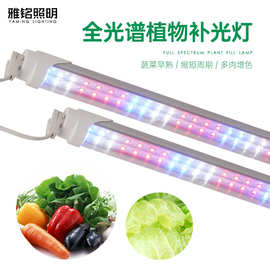 LED全光谱T8分体1.2米植物灯植物生长火龙果紫光盆栽补光灯