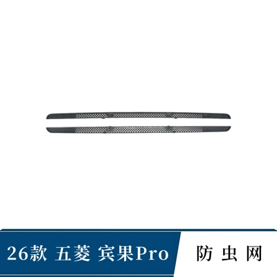 Suitable for 26 models of Wuling Bingo Pro, anti-insect net for the front grille, specialized front face modification accessories for protection and dust prevention