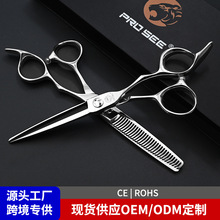 PROSEE���I���l���l�������b�l�Ȍ��ü��l�������l���l�͎�����