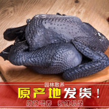 ɢ�B�����u�F�����r���u�r�Ҟ��uС���u���u���r��ĸ�u�ߵ��u��ֻ
