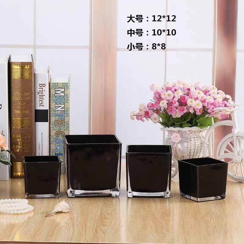 10 * 10 transparente (36 en una caja) ☆