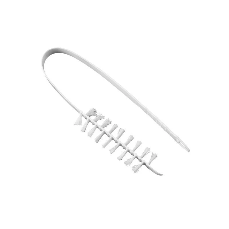 Drum for laundry, hygienic brush